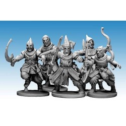 Cultistes de Frostgrave (20)