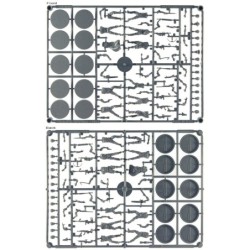 grappe Survivants (10)