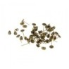 puce oreille laiton 60pcs