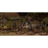 Goblin Warband (30)