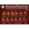 Dark Alliance Steppes Warriors set 2 1/72(12)