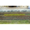 Bandes d'herbes printemps 100mm (10)