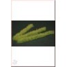 Bandes d'herbes printemps 100mm (10)