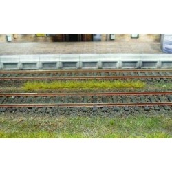 Bandes d'herbes printemps 100mm (10)